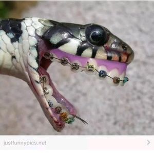 Meet your Posher, Danny